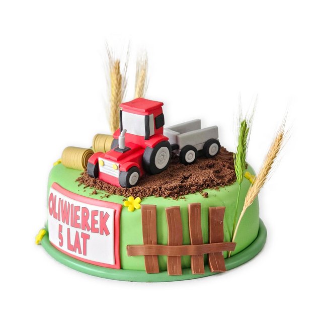 Torty_dla_dzieci_062